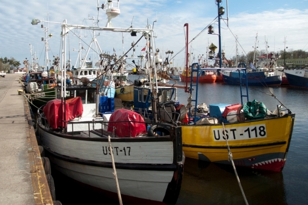 Rząd przyjął projekt ustawy o wspieraniu rozwoju sektora rybackiego
